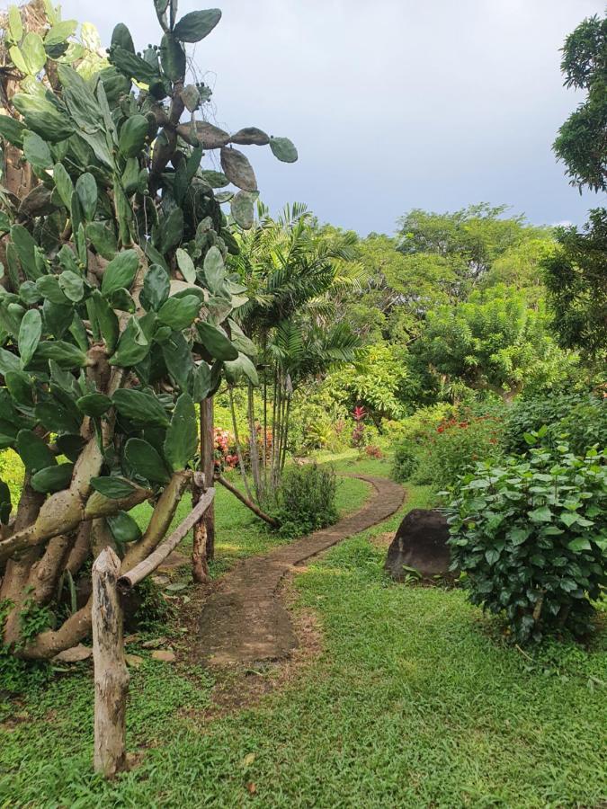 El Encanto Garden Hotel Санта-Крус Экстерьер фото